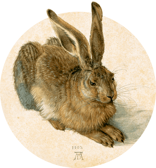 Der Weinhase