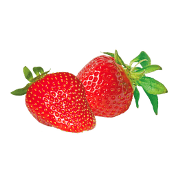 Gartenerdbeere