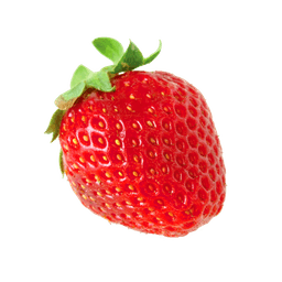 Erdbeere