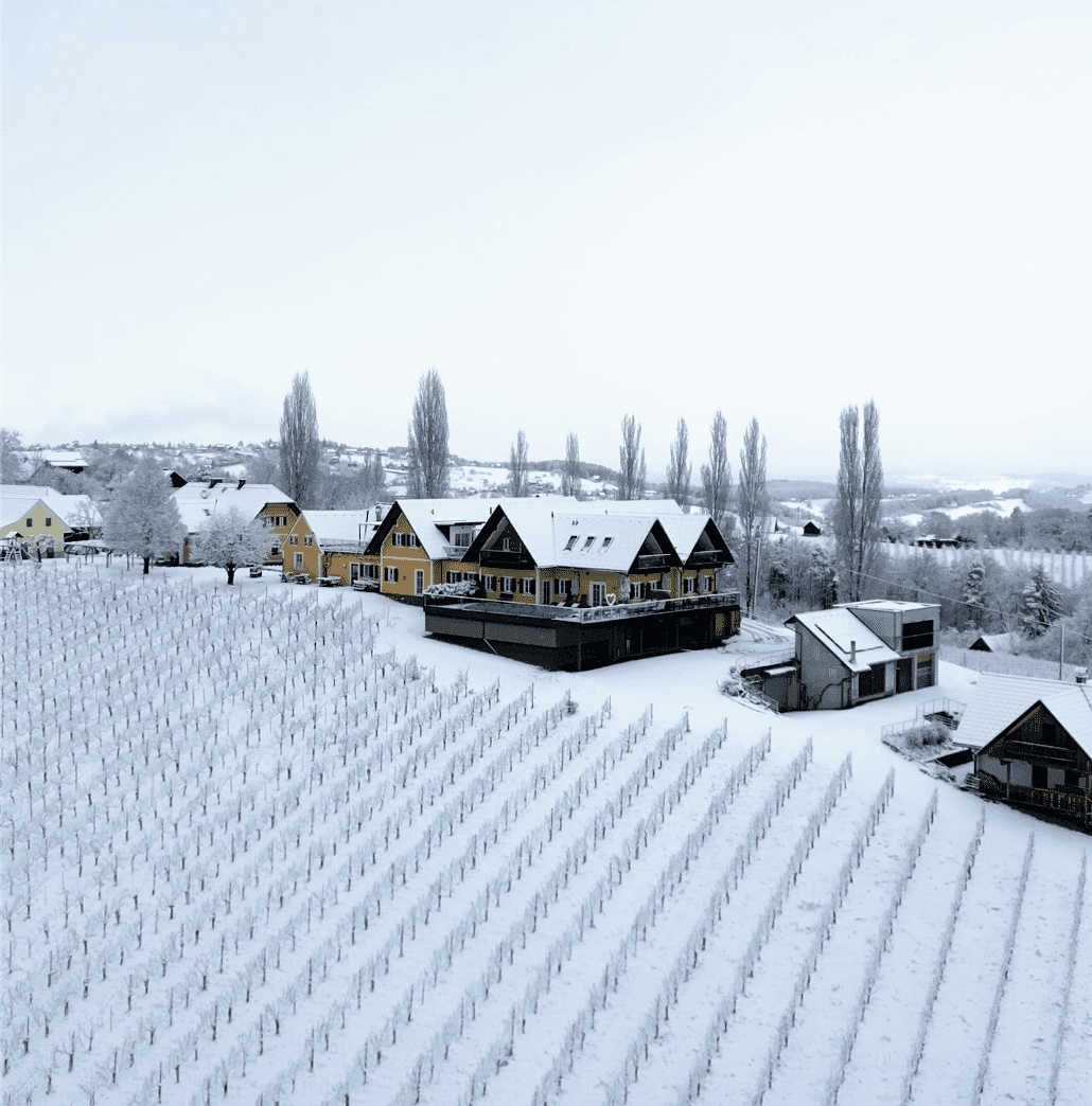 Unser Silvesterprogramm 2024