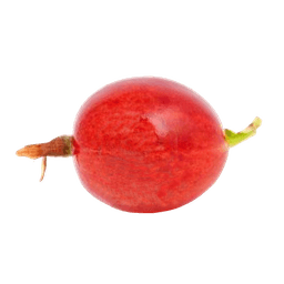 Rote Stachelbeere