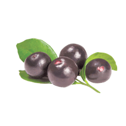 Dunkle Beeren