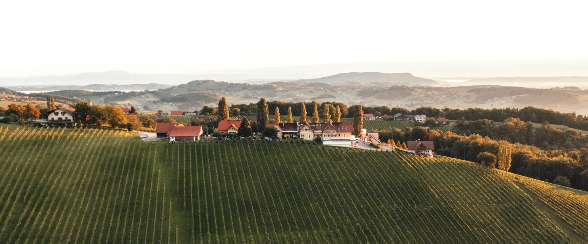 Buschenschank Pichler-Schober