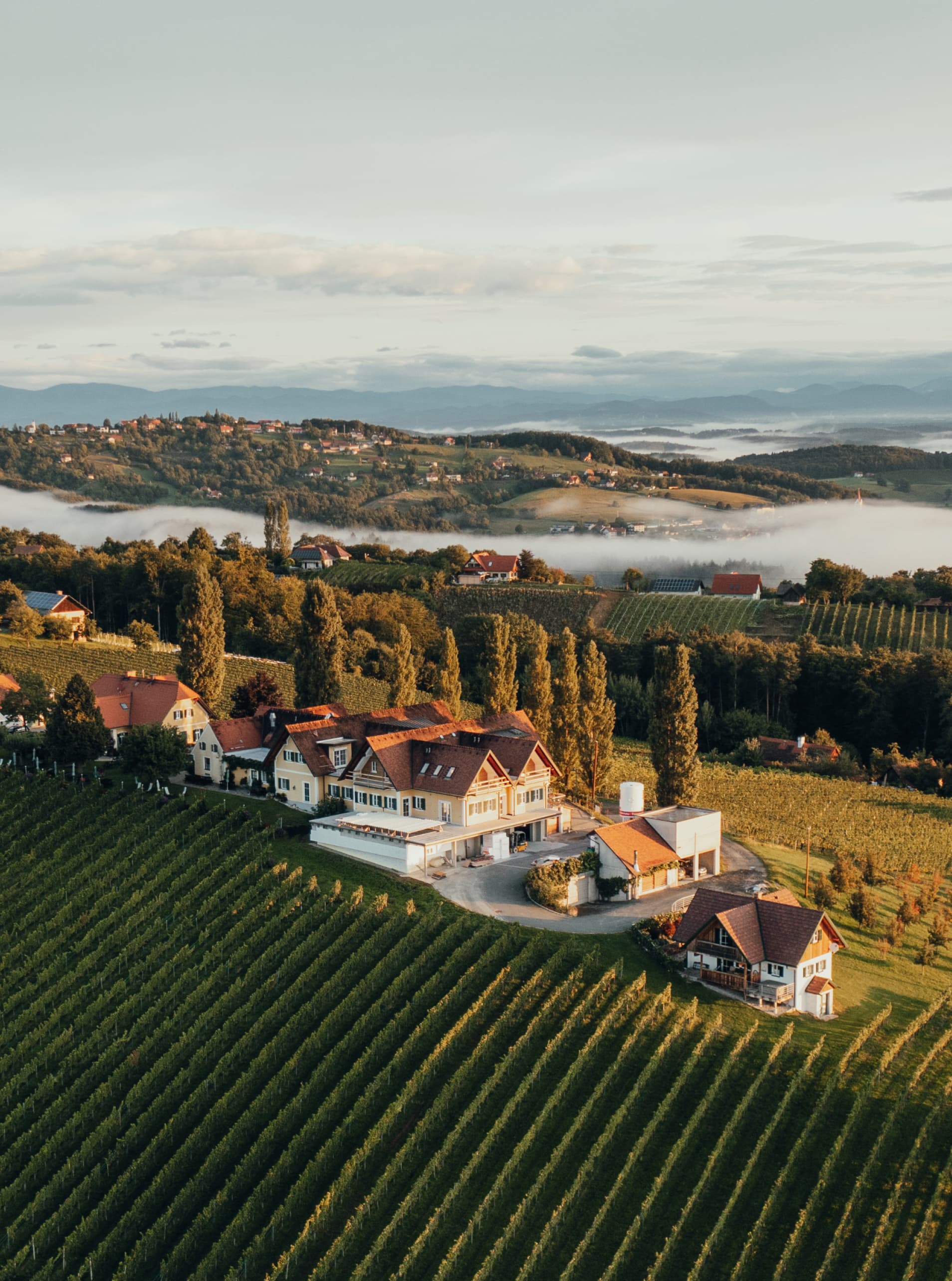 Winzerhaus und WeinQuartier