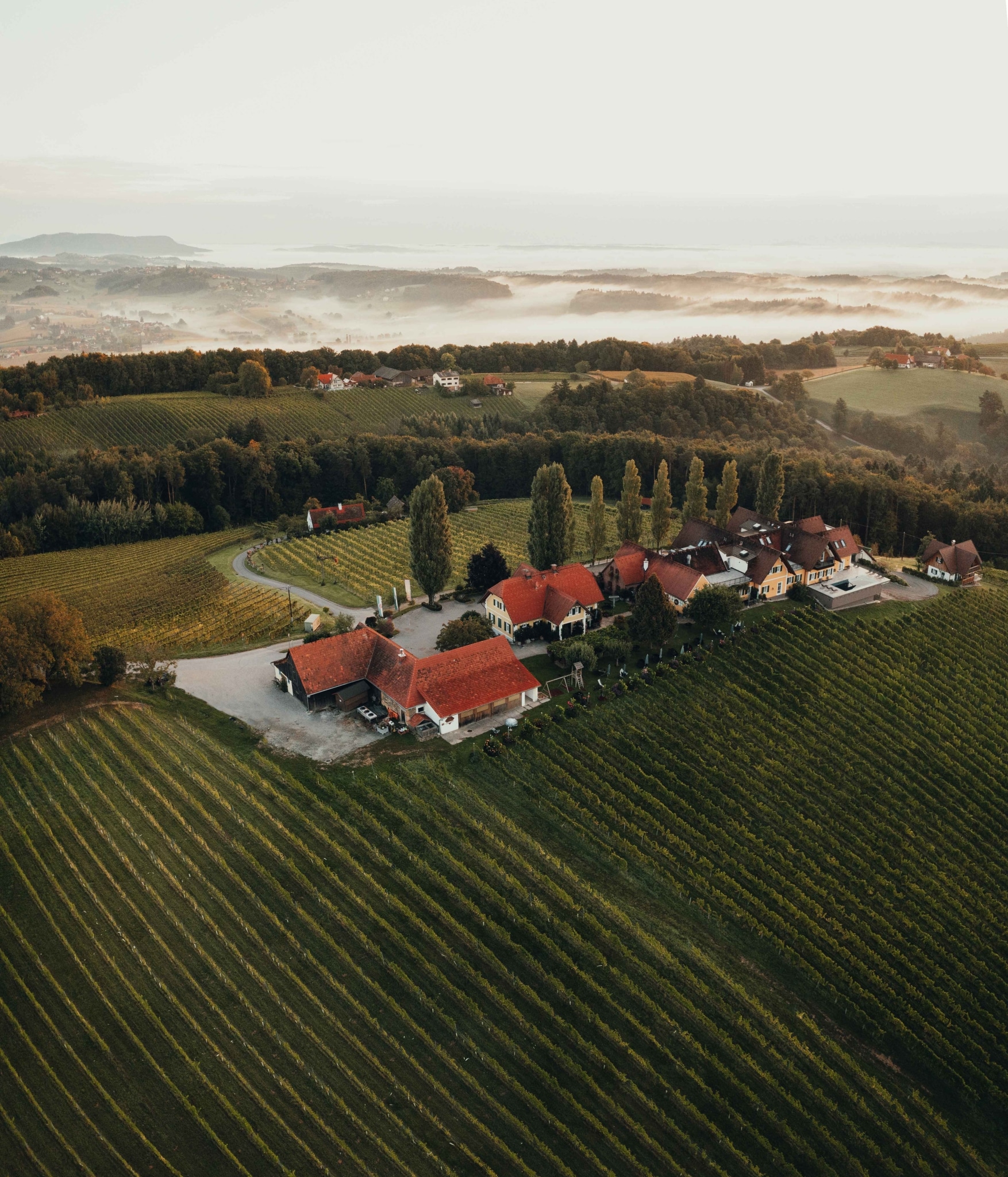 Luftaufnahme Weingut